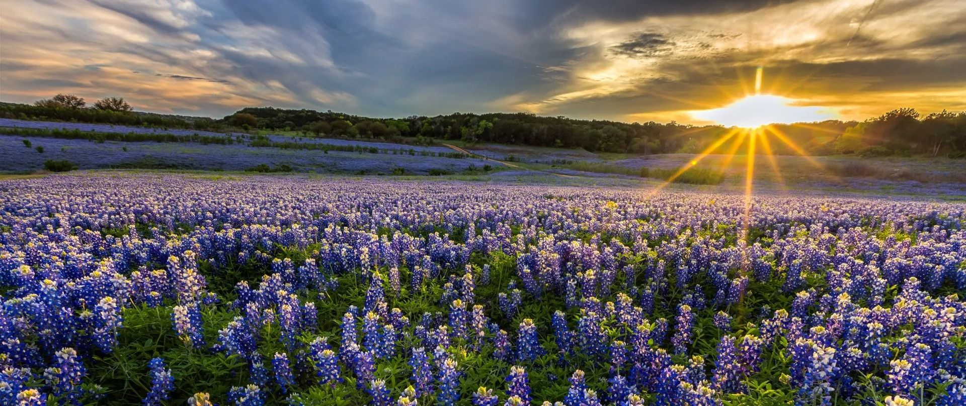 imgi 28 shutterstock 270799604 17ff6d2e 01182e8a 1920w